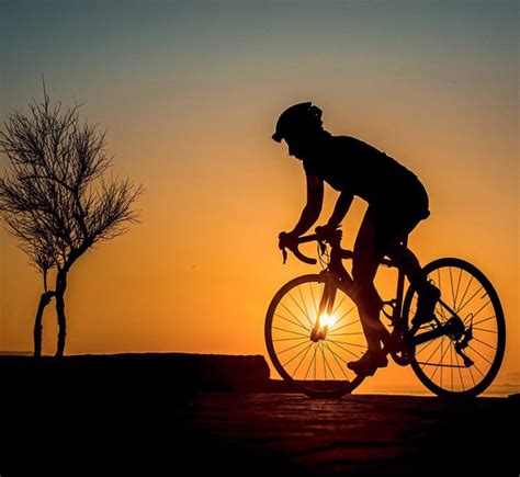 Sunset Bicycle Cycling Art Cycling Sports Cycle