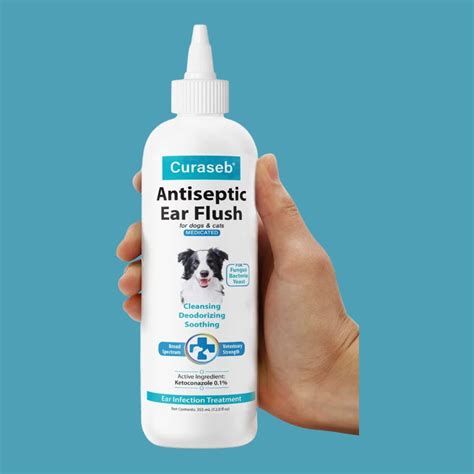 Hear Ye Hear Ye The Top Ear Cleaners That Will Make Your Dogs Ears