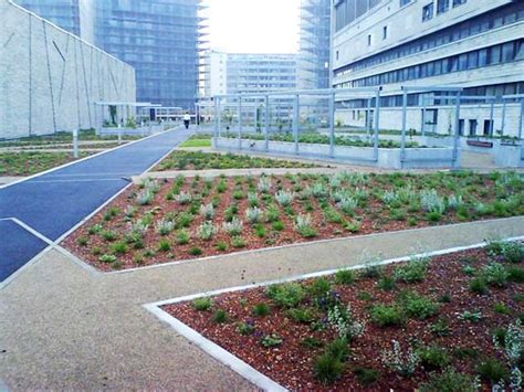 As a supplement to the regular parks, there are a number of congenial public gardens and some cemeteries doubling as parks. Copenhagen Adopts a Mandatory Green Roof Policy