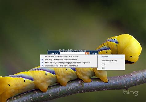 Bing Desktop Automatically Sets Daily Homepage Image From Bing As