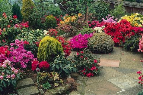 Ideias Para O Jardim Plantas Ornamentais