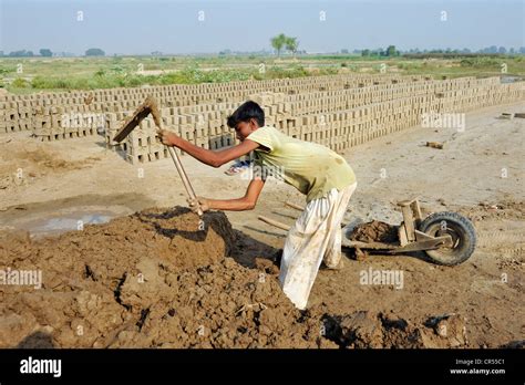 Child Labour 14 Year Old Boy Working In A Brickyard Member Of The
