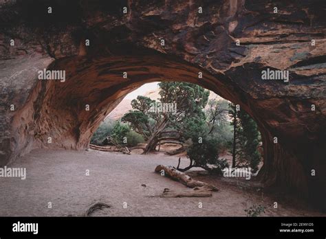 Juniper Trees Through A Picturesque Navajo Arch Stock Photo Alamy