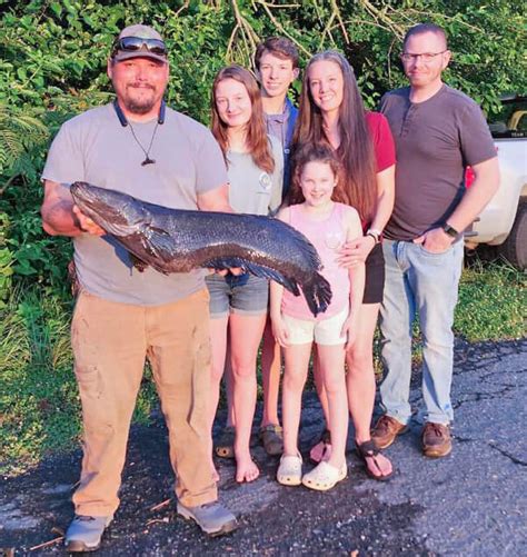 Rhodesdale Man Catches Maryland State Record Snakehead Bay To Bay News