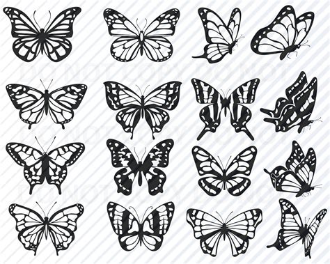 Butterfly Svg Files For Cricut Bundle Monarch Butterfly Vector Etsy