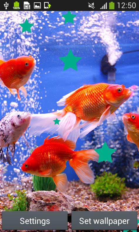 Aquarium Live Wallpapers For Android Download