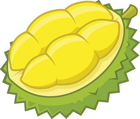 Clipart Durian 20 Free Cliparts Download Images On Clipground 2024