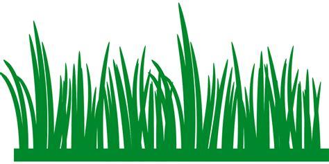 Download Grass Lawn Green Royalty Free Vector Graphic Pixabay