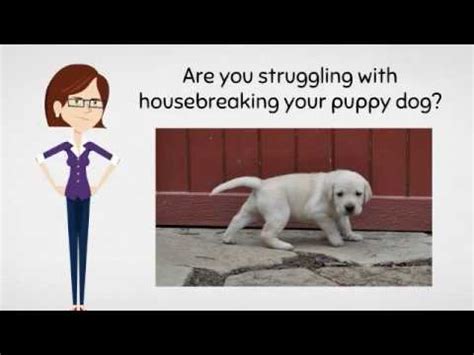 Perfect puppy in 7 days pdf mirror link #1. Housebreak a puppy In 7 Days In 2017 - Housebreaking Your ...