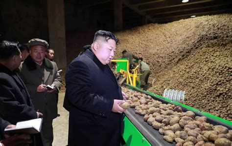 Kim to acknowledge a national food shortage as publicly and clearly as he did this week. North Korea Cutting Food Rations by Almost Half, Says ...