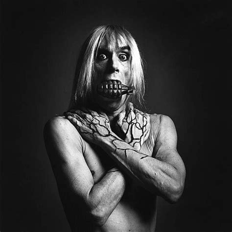 Iggy pop's work provides examples of: Iggy Pop | Preiss Fine Arts Vienna