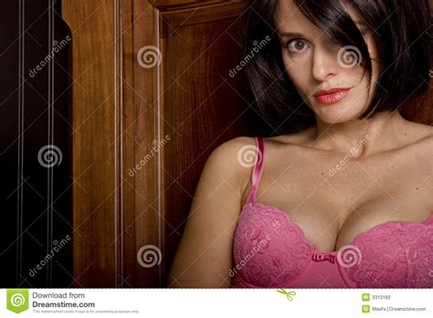 Femme Sexy Dans La Lingerie Photo Stock Image Du Modèle Magnifique 3313162