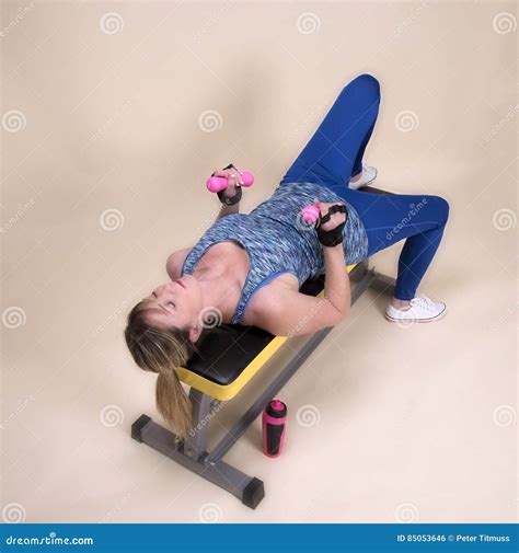 Woman Laying On A Gym Training Bench Exercising Stock Photo Image Of