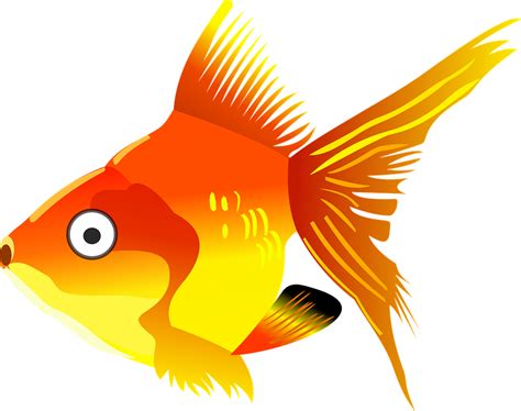 Gambar Ikan Kartun - picture.idokeren