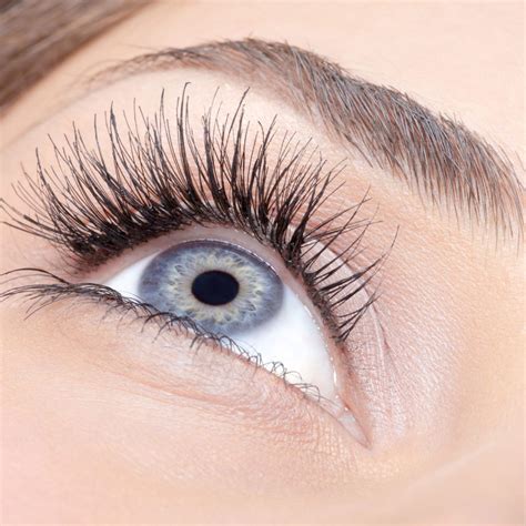 Eyebrow Shape Tint And Eyelash Tint Urban Spa