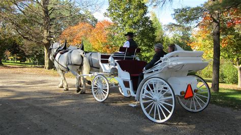 White Wedding Carriage Dual Acres Wagon And Sleigh Rides