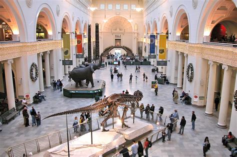 Field Museum Of Natural History In Chicago Discover The History Of