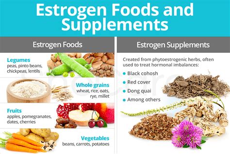 Could changing the diet help control estrogen levels? Estrogen Foods and Supplements | SheCares