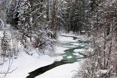 Winter Stream Winding Through Forest Methow Valley Washington Stock