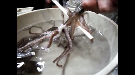 Eating Live Octopus In Korea San Nakji 산낙지 Youtube