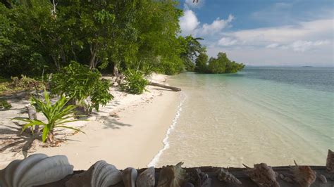 Background videos for visual composer. Zoom Virtual Background Beach Video Download - BEACH NICE