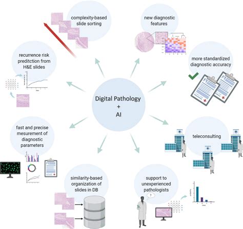 Frontiers Multiplexed Immunohistochemistry And Digital Pathology As