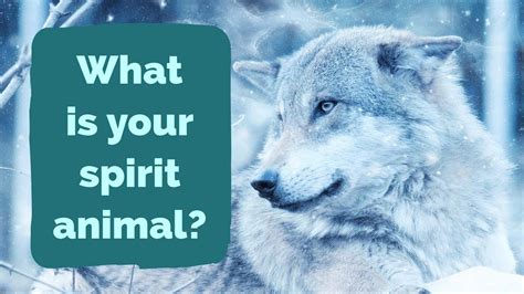 How Do I Find My Spirit Animal Animalqf