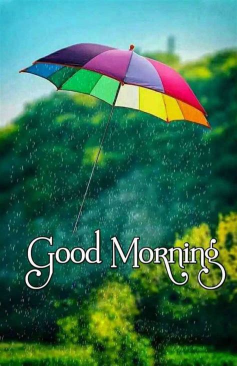 Beautiful Rainy Good Morning Quotes