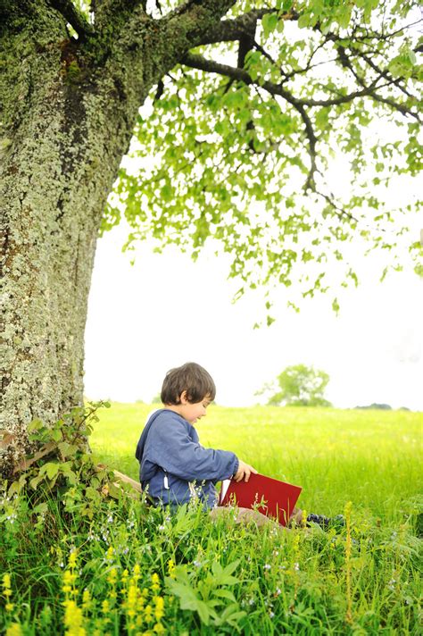 Happy Children Reading The Book Under The Tree Royalty Free Stock Image