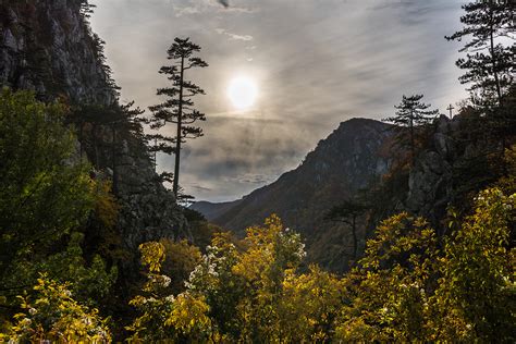 Parcul National Domogled Valea Cernei Muntii Nostri