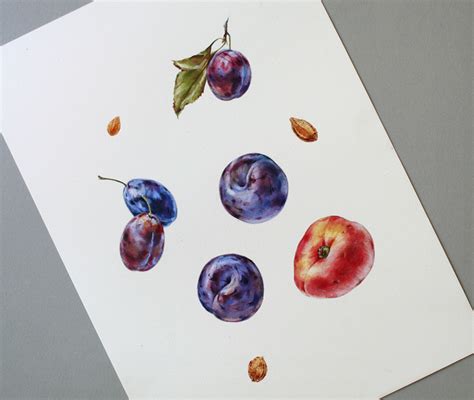 Watercolor Fruits Berries On Behance