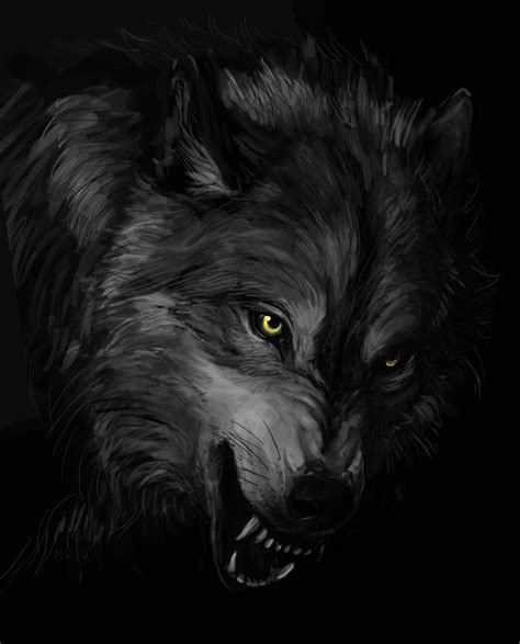 Black Wolf Wallpaper Whatspaper