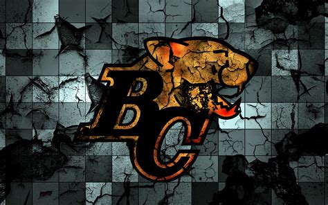 Bc Lions Wallpaper Wallpapersafari
