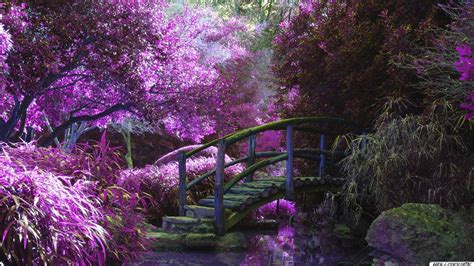 Where can i find a good hd wallpaper? schöne wallpaper kostenlos | Brücke Lila Natur ...
