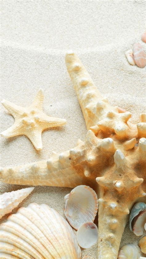 Pure Seaside Beach Starfish Seashell Iphone Wallpapers Free Download