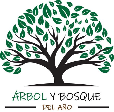 Details 100 Nombres De árboles De España Abzlocalmx