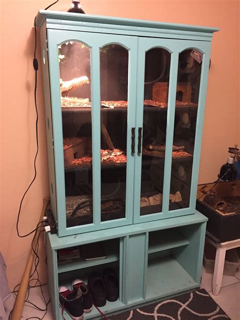 As long as you have a i personally will be measuring each individual reptile enclosure that doesn't come with glass to ensure that you have the perfect dimensions for glass. Pin by Rodrigo Canales on My reptile enclosure | Reptile ...