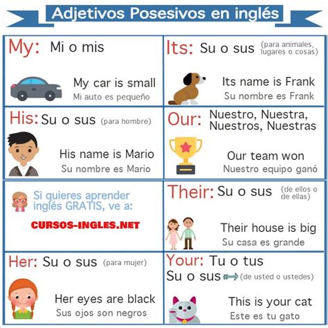 Adjetivos Posesivos En Ingles