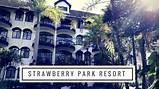 See 130 reviews, articles, and 256 photos of cactus valley, ranked no.18 on tripadvisor among 47 attractions in cameron highlands. Strawberry Park Resort Cameron Highlands - YouTube