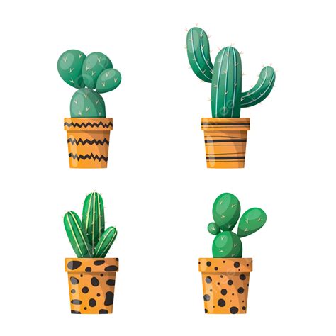 Cactus Illustration Set Vector Cactus Cactus Pot Plant Png And