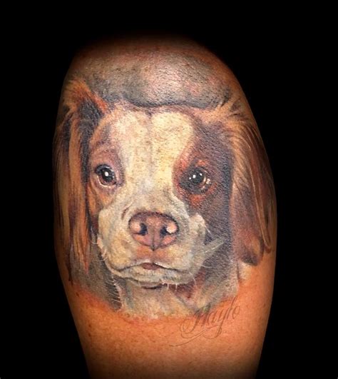 Brittany Spaniel Dog Portrait By Haylo Tattoonow