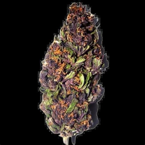 Buy Purple Haze Weed Greenmeister