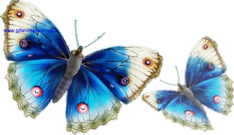 Imagenes De Mariposas Con Movimiento Para Fondo De Pantalla Imagui