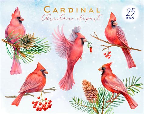 Cardinal Clipart Christmas Png Winter Watercolor Clip Art Etsy