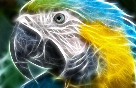 3d Wallpapers Of Animals