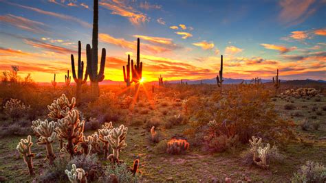 Very cold, often dry climate, but whith permanently frozen ground creating saturated soils during summer months. Why Arizona doesn't observe daylight saving time