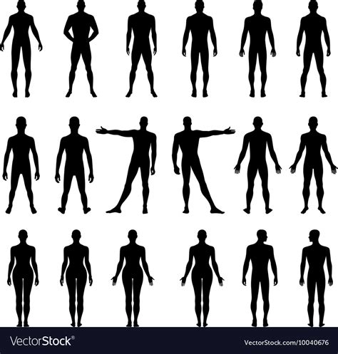 Full Length Front Back Human Silhouette Royalty Free Vector