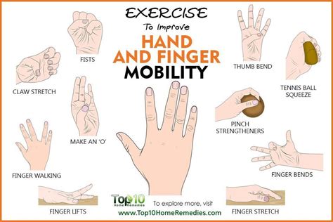Exercises To Improve Hand And Finger Mobility Arthritis Exercises Hand Therapy Exercises