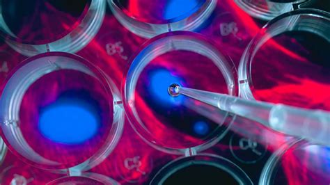If you are an administrator for plant cell biotechnology and molecular biology, please get in touch to find out how you can verify the contributions of your. New research into stem cell mutations could improve ...