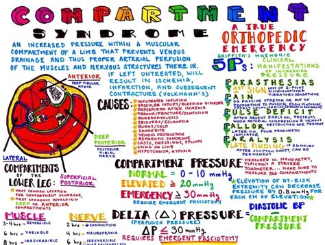 Infographic Compartment Syndrome